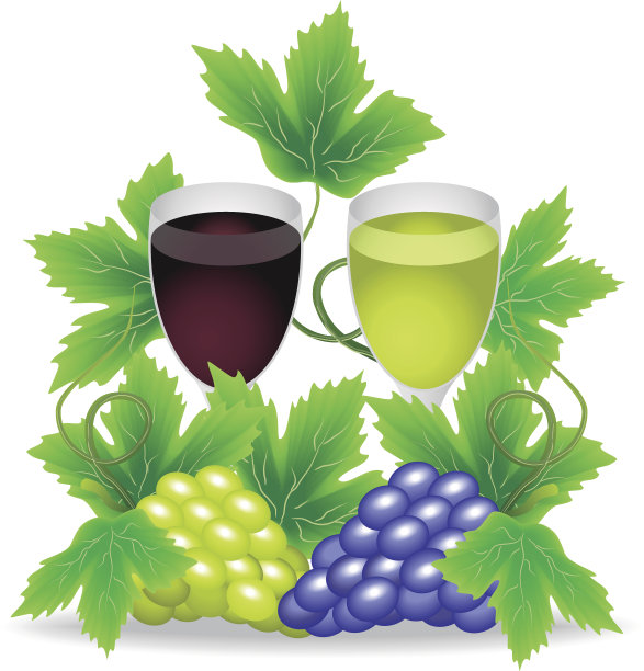 一杯红葡萄和一杯白葡萄素材图片