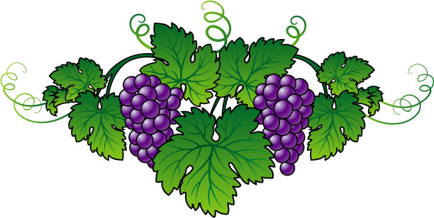 抽象的葡萄图片下载