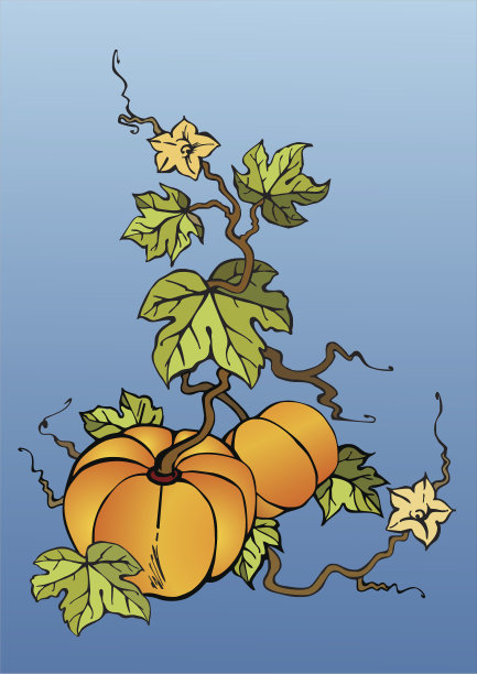 两个大南瓜的插图图片下载