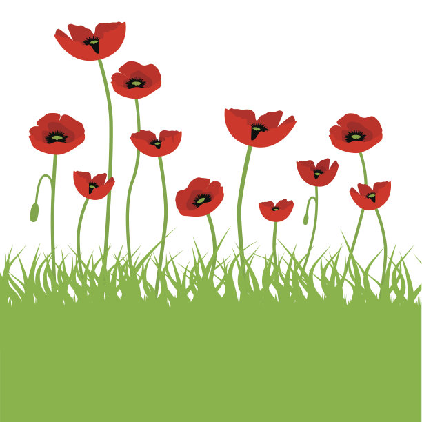 花01(向量)图片下载