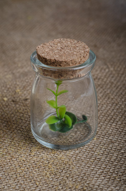 玻璃瓶图片下载