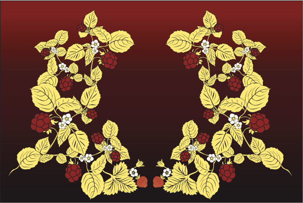 草莓和树莓图片下载