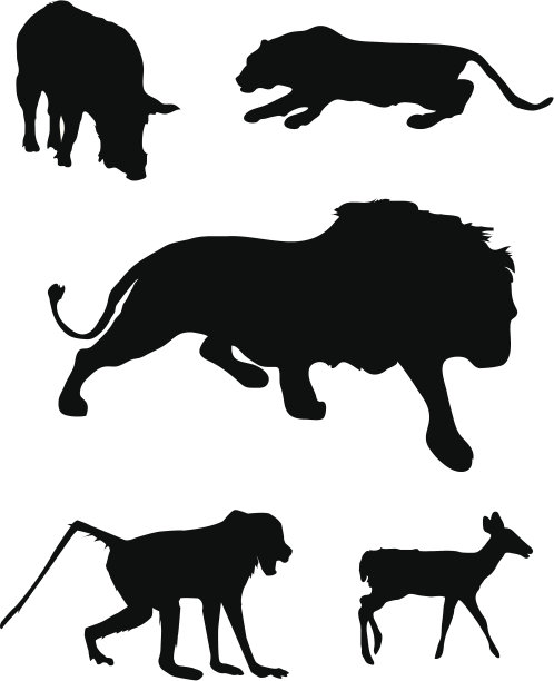 野生动物剪影。图片下载