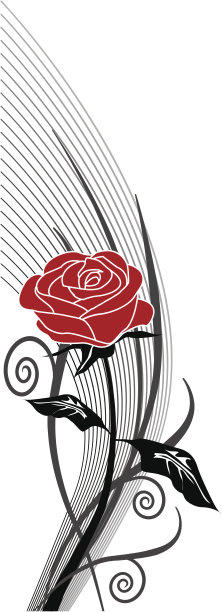 轮廓上涨3图片下载