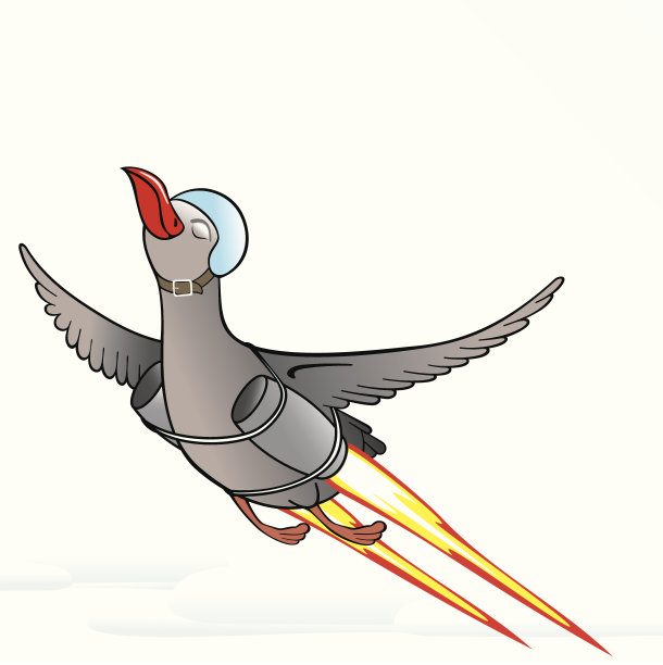 飞行活性鸟图片下载