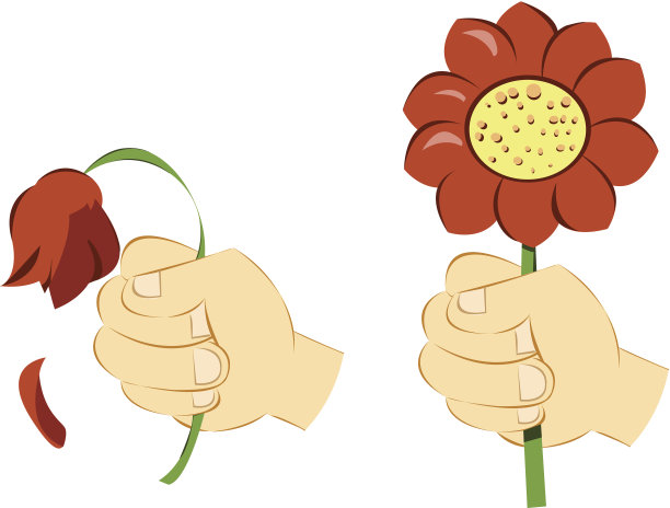 丑陋和漂亮的礼物图片下载