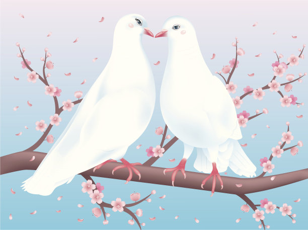 两只睁着眼睛的鸽子。图片下载