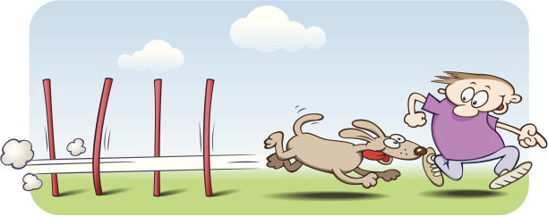 敏捷的狗通过编织杆跑图片下载