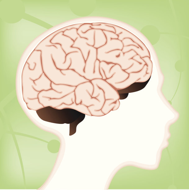 孩子的大脑图图片下载