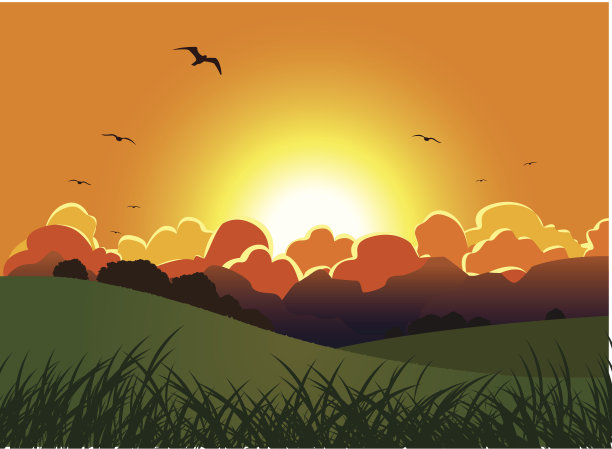 橙色的日落图片下载