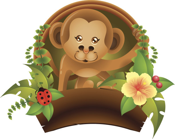 丛林边缘的猴子素材图片