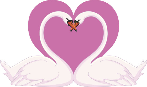 天鹅情人节素材图片