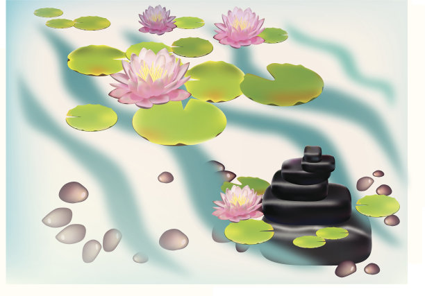 花园中盛开的百合花明信片图片下载