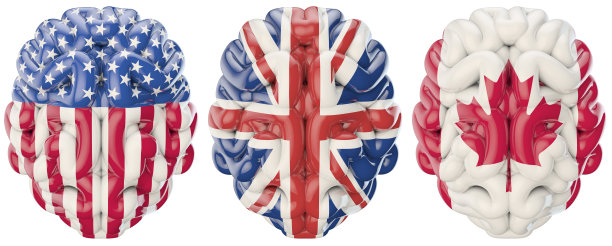 国际大脑图片下载