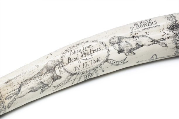 象牙雕刻图片下载