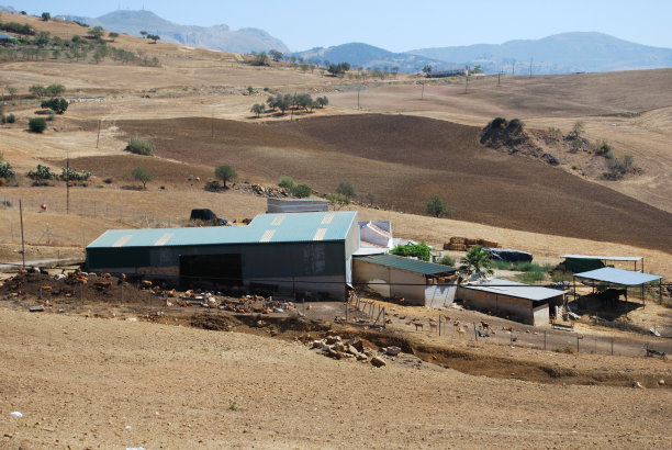 西班牙安达卢西亚的农田和麦田。图片下载