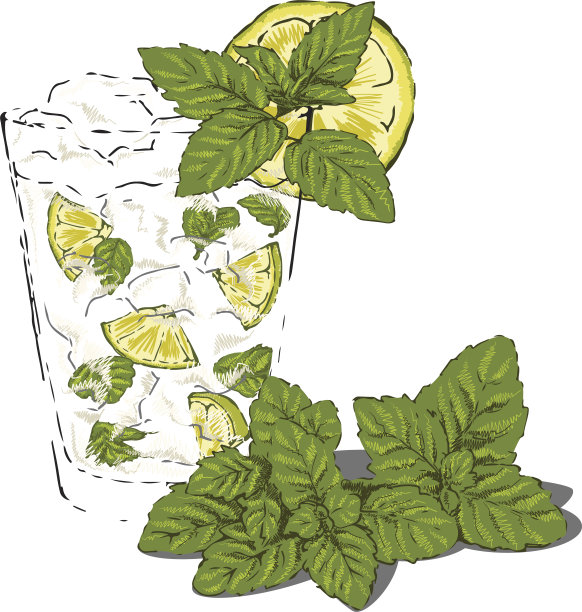 莫吉托素材图片