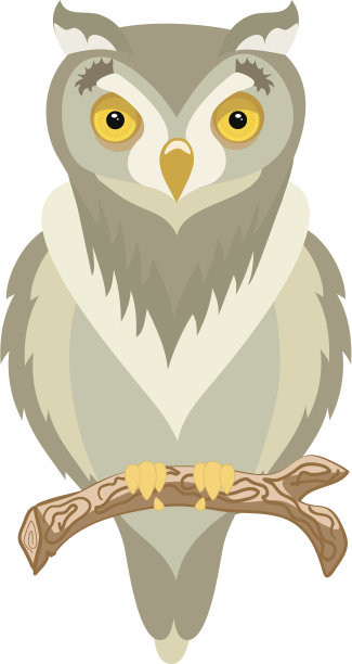 棕色的猫头鹰素材图片
