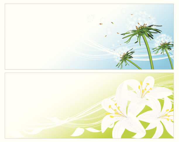 花的背景图片下载