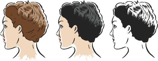 风格化的女人在3种风格图片下载