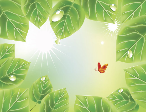 带叶子的绿色背景图片下载