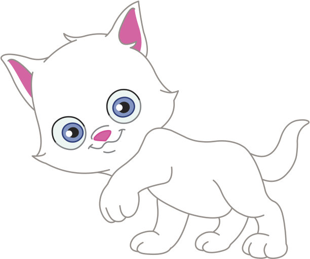 白色的小猫图片下载