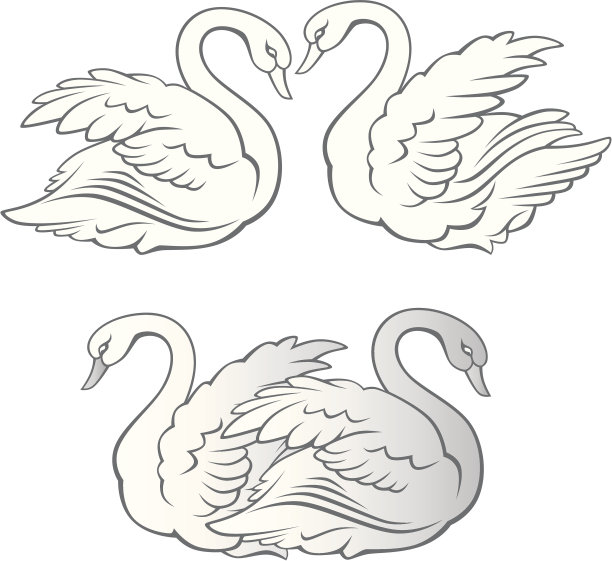 两只天鹅图片下载