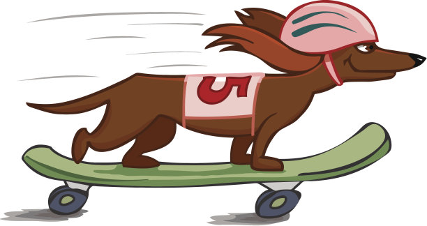 快乐的狗在滑板上图片下载
