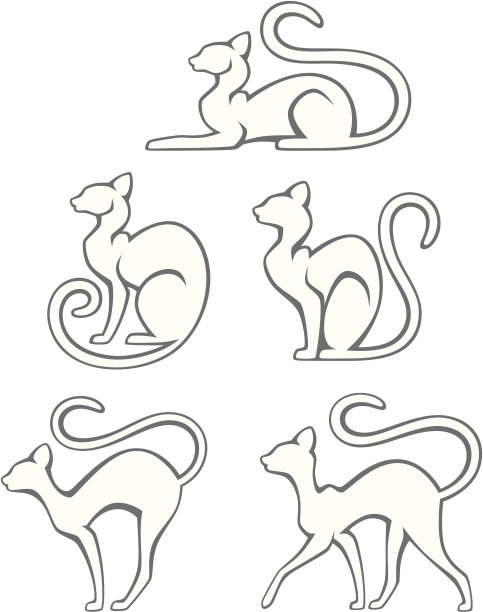猫素材图片