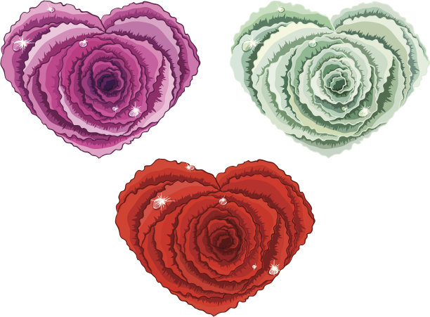 心形的玫瑰图片下载