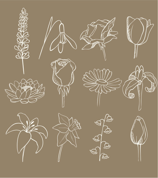 许多不同的花载体收集图片下载