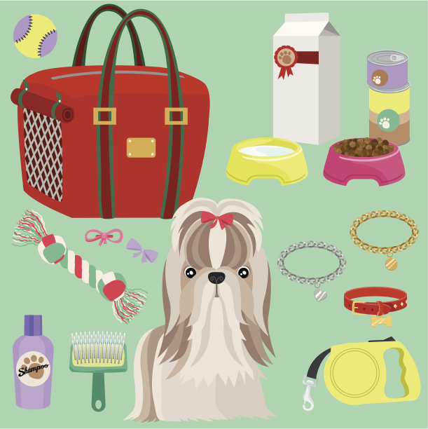 可爱的西施小狗设备图片下载