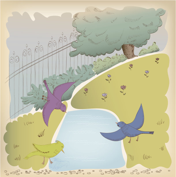 从公园水坑里喝水的鸟儿图片下载