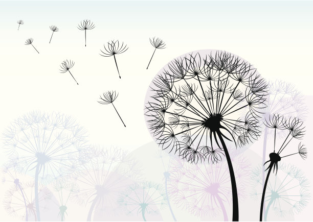 蒲公英图片下载