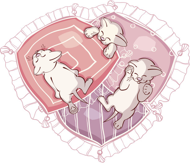 睡觉的小猫图片下载