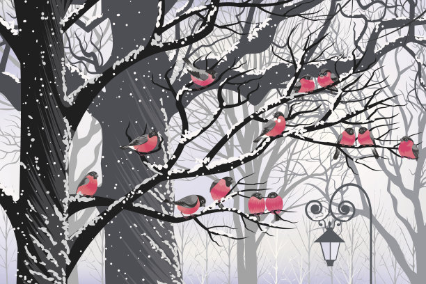 红腹灰雀在树上素材图片