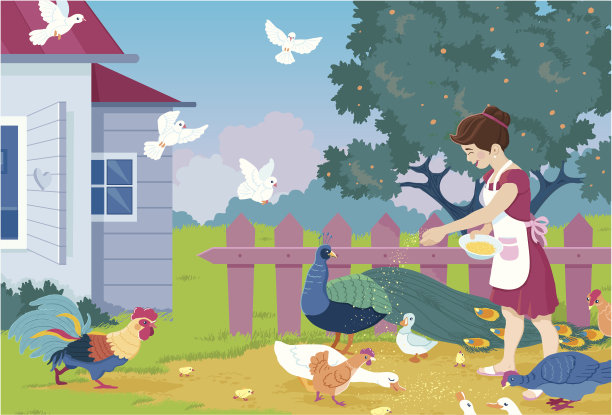 女孩喂家禽图片下载