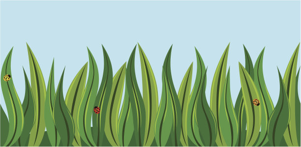 草丛里的瓢虫图片下载