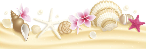 贝壳头图片下载