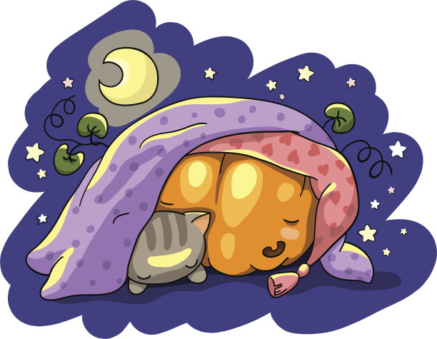 可爱的睡着的南瓜和小猫。矢量图图片下载