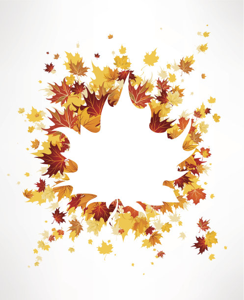 枫叶的背景图片下载