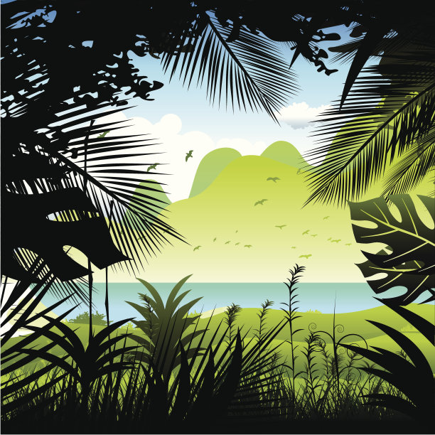 热带雨林。素材图片