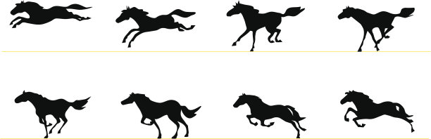 奔跑的马图片下载