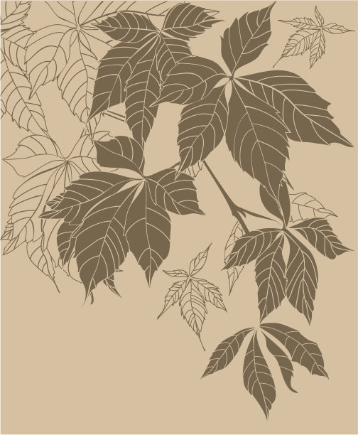 的面板图片下载