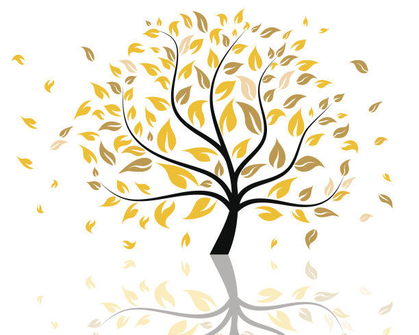 秋天的树图片下载