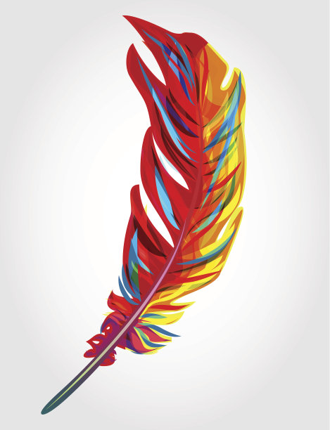 鲜艳的羽毛图片下载