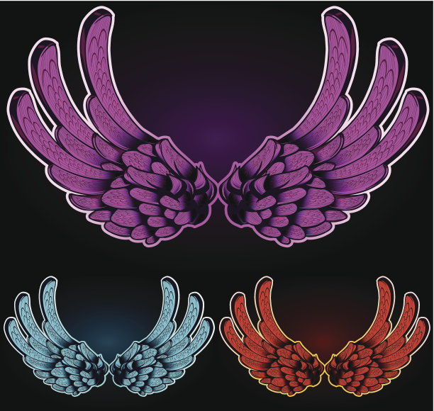 彩色的翅膀图片下载