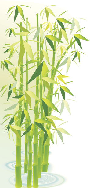 竹子的背景图片下载