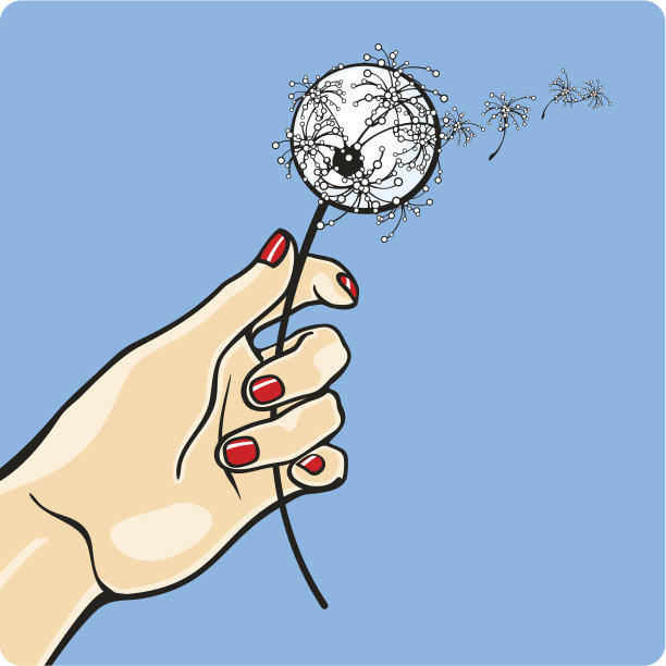 与蒲公英图片下载