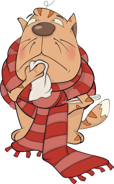 生病的猫图片下载